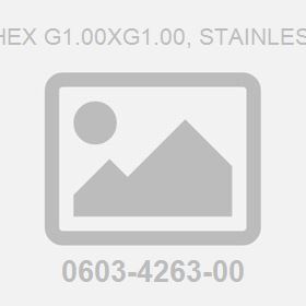 Nipple-Hex G1.00Xg1.00, Stainless Steel